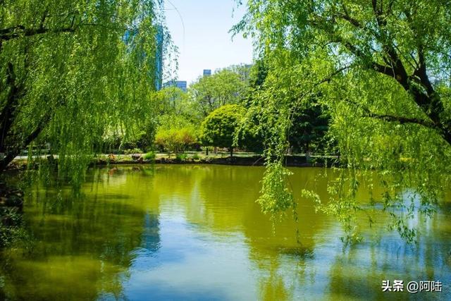 临平世纪公园很漂亮，但一直被杭州人忽视，为什么呢