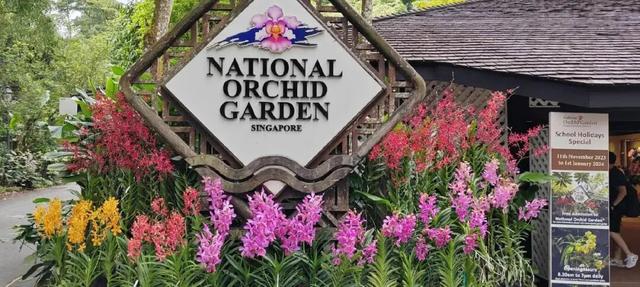 中国人去新加坡，早已不是你想的那样