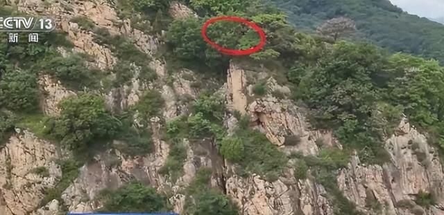 13人露营遇难后续，现场惨烈，牧民曾提醒遇害者，没一个值得同情