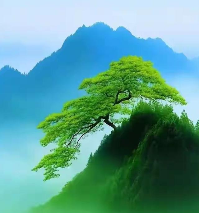 多到外面走，少在家里留，放松自已与大自然的联系