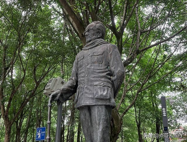 成都主城区老牌公园，最适合乘凉避暑，超级舒服，地铁公交直达！
