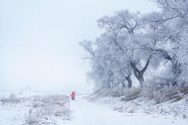 强烈建议！1 月一定要去一次雾凇岛！不愧是中国必看雾凇之一！