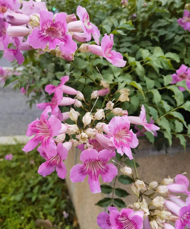 你可知道我在天涯彼岸	，把你深深的想念