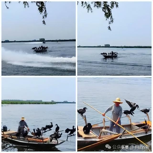 大雁号专列东北旅行记（五）——邂逅河北之美｜王玉新