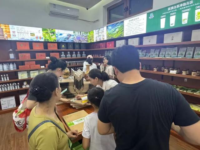 千年雅韵+科技创新！紫竹院竹荷文化季开启