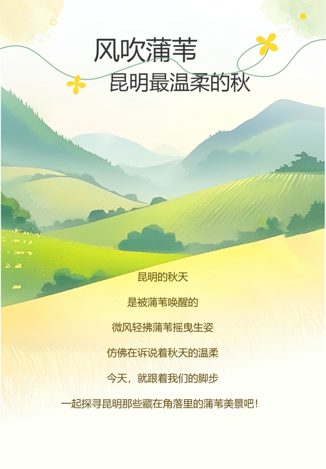 刷爆朋友圈的昆明蒲苇，原来都藏在昆明这些地方~