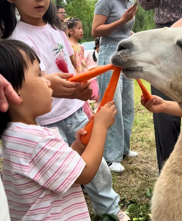 被“宰”、处处踩雷，过完国庆假打工人对旅游祛魅，可下次还想冲