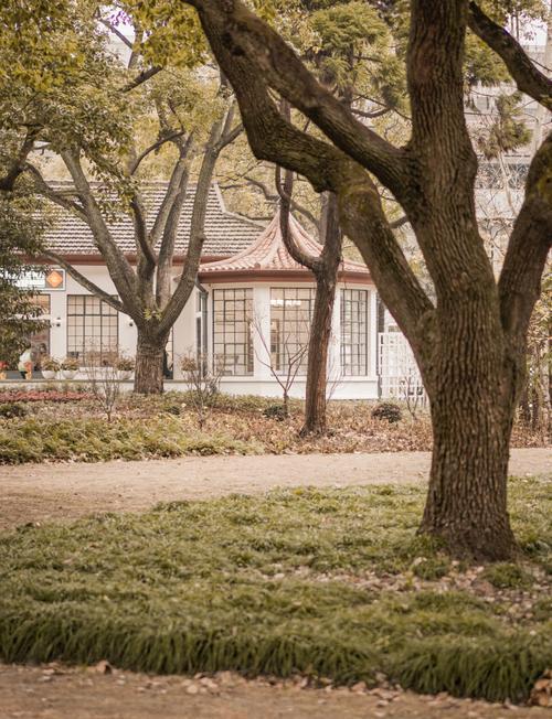 踏迹寻旅：一座被时光遗忘的秘境上海复兴岛