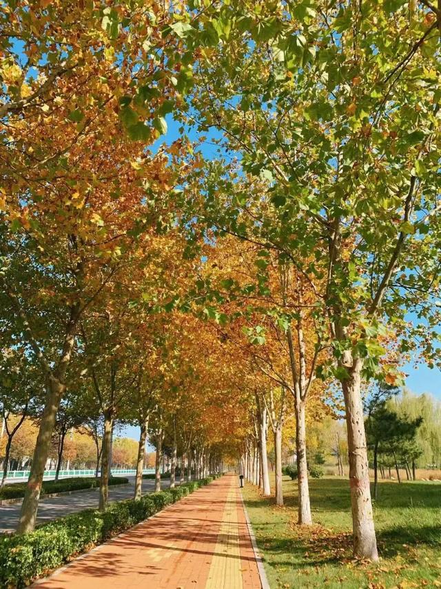 去公园，寻找城市的“书签”