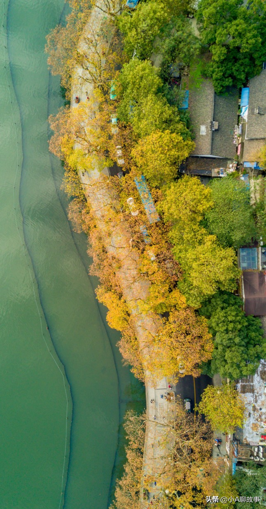 又一5A景区官宣永久免费！年入数亿，关键是秋天美到词穷！