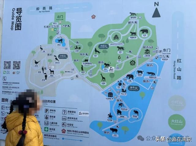 规划要改！刚刚，南京顶流网红景点，大动作！