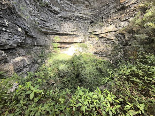 带小朋友去贵州茂兰,连环探洞加漏斗原始森林徒步二日游全攻略!