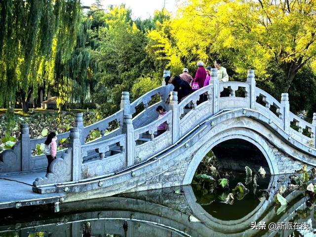 立冬已至，潍坊的秋意仍浓，这里的风景绝美