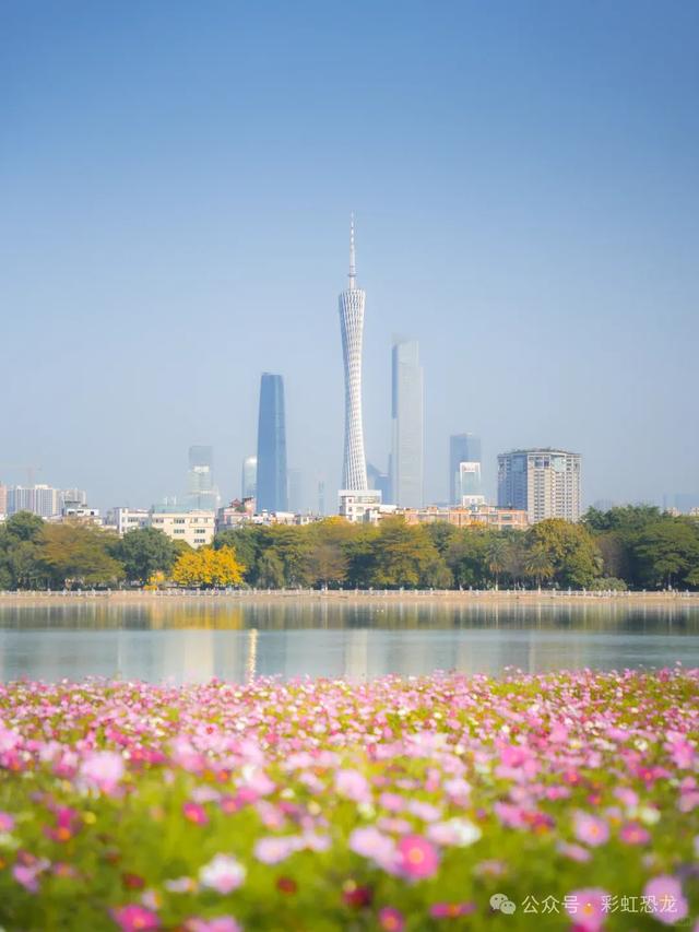 广州秋日遛娃赏花攻略：觅市中心小众花海，与娃共赴粉金浪漫！
