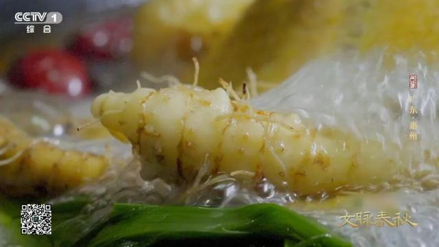 东江奔流西湖美，不辞长作岭南人！今晚CCTV-1带你游惠州