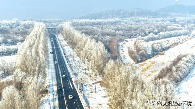 沈阳生态之美 | 沈阳棋盘山雾淞漫卷
