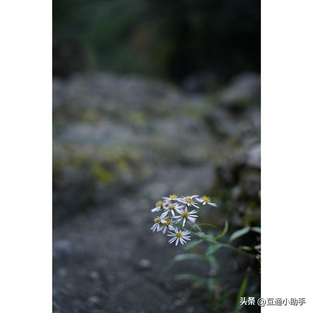 高品质成像：大光圈变焦镜头腾龙 35-150mm F/2-2.8 Di III VXD 评测