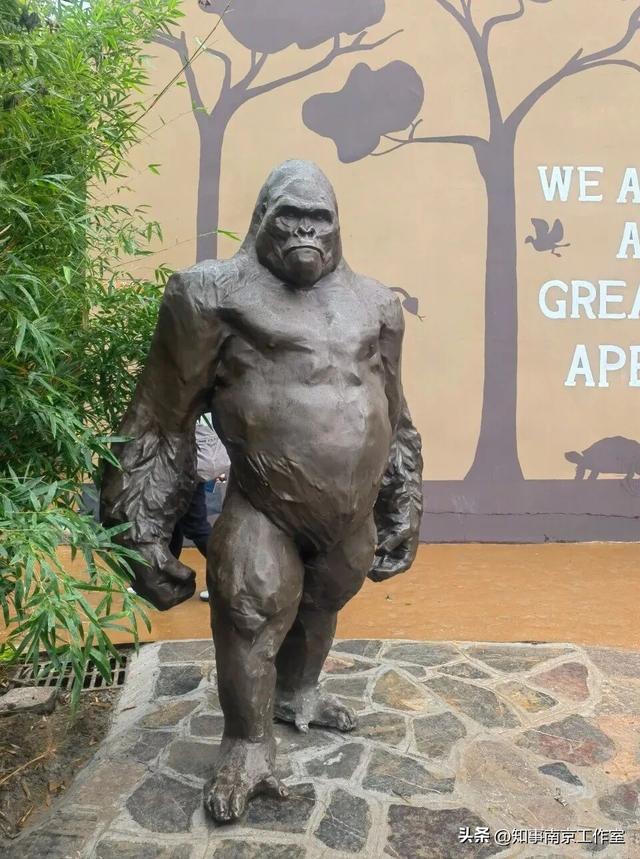 降温天逛红山动物园有多爽？