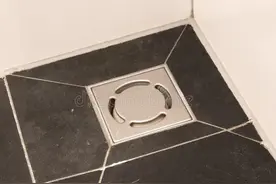 你家厕所很干净？墙上爬满"蛾蚋"天天见？教你3招除厕所小飞虫！图片