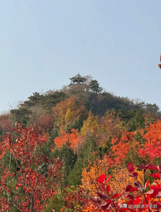 北京顺义舞彩浅山适老赏秋路线来啦