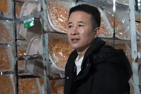 他用大棚种虫草年入1600万，60天就能成熟，一个大棚就能卖50万！图片