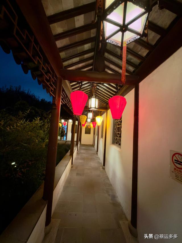 夜游上海古猗园，夜景璀璨迷人
