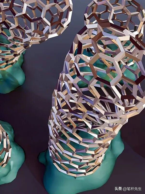 马斯克意识上传机器人_脑机接口中美竞速_马斯克