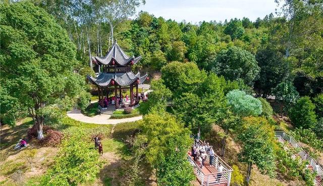 性价比拉满！韶关城区一日漫步计划，登山赏花逛吃全搞定