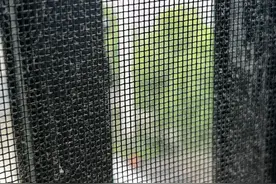 家里的纱窗不管多脏多黑，只需1个口罩，不拆不卸，瞬间焕然一新图片