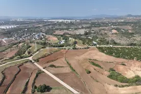 罕见！近日湖北一地新传重大发现图片