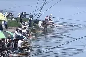 野钓河流，多长的竿最容易上鱼？你选对了吗？鱼竿怎么选？图片