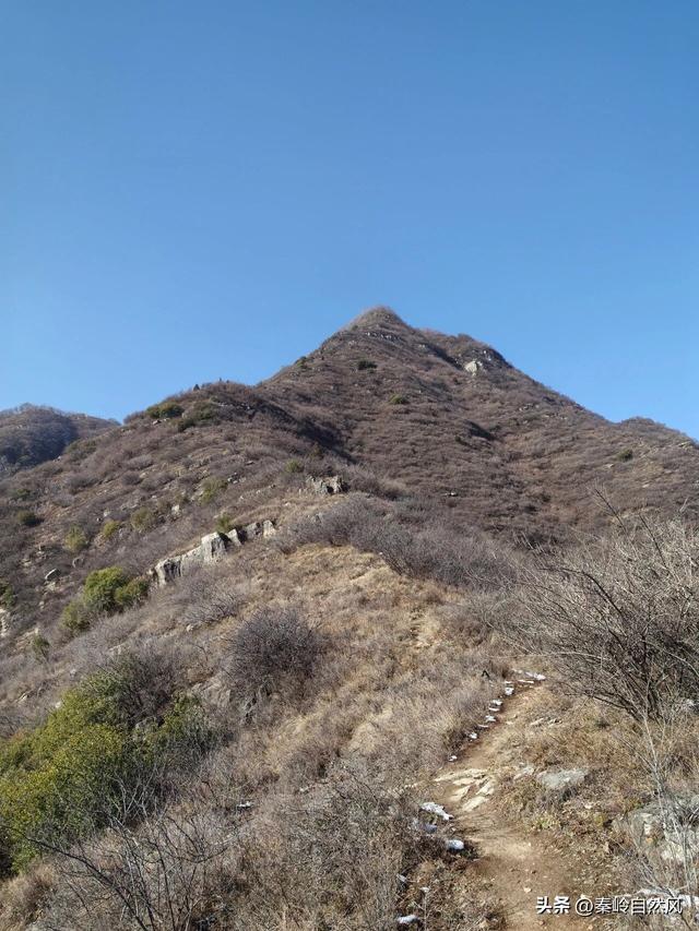 雪后初霁登顶嵯峨山，走荒野雪原，看千年悟空塔，感受历史的烟云