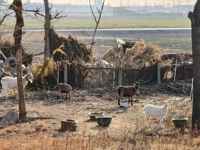 桓台融媒签约摄影师作品展：乌河骑行 见证三十年蝶变