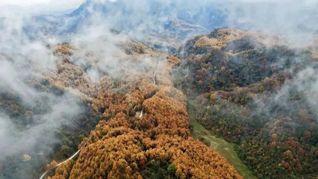 警告！深秋的徽县，千万别出门！因为……