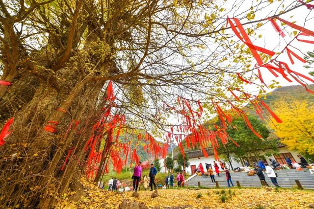 住下来，才懂秦岭的秋：留坝小城5日慢行指南