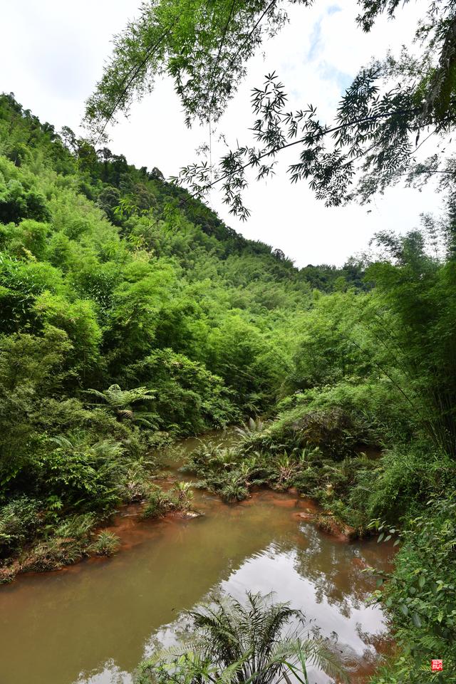 赤水四洞沟瀑布