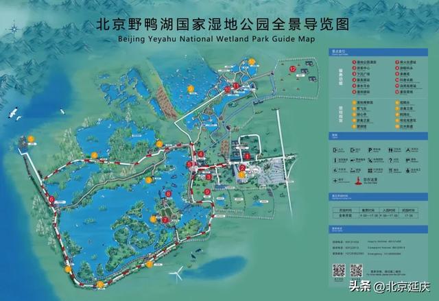 绝美!延庆的“夏与荷”——