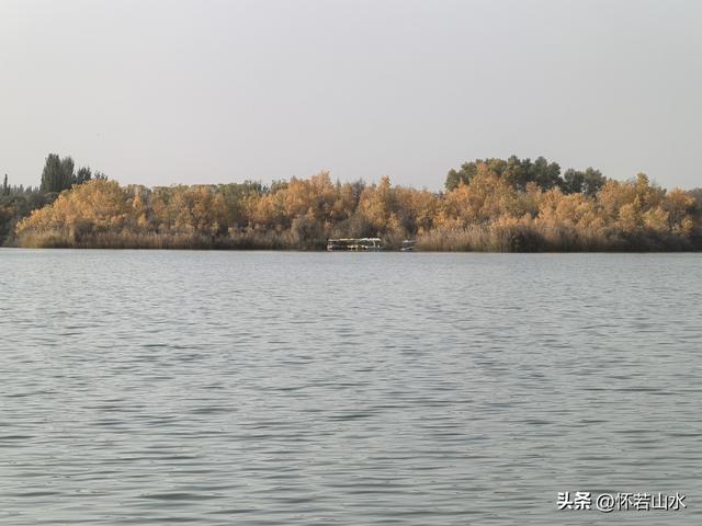 2025环南疆沙漠铁路背包自由行日记(4)——游览泽普金湖杨景区