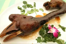 鹅中“劳斯莱斯”狮头鹅，一只鹅头拍卖上万元，为何少有人养？图片