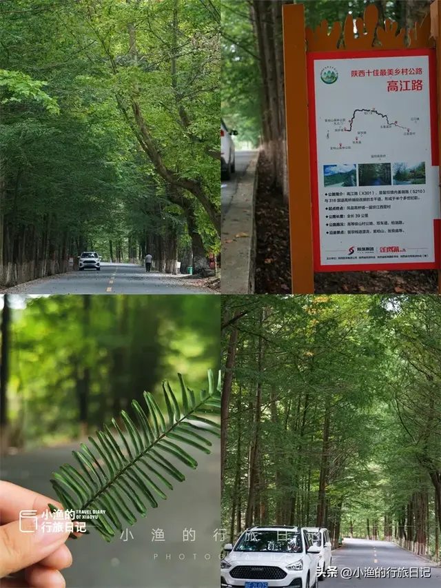这座人口4万多的秦岭小城，夏天太太太舒服！气温22℃，超强避暑