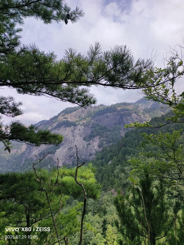 林壑听涛逢旧雨 溪声松语话流年