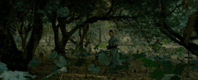 马伯庸大鹏畅谈《长安的荔枝》