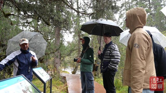 外籍自媒体：绵阳的隐藏技能是“诗与远方”！