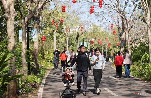 来湛江感受全国TOP3年味儿