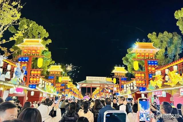 世博园大型灯展!最新剧透来啦
