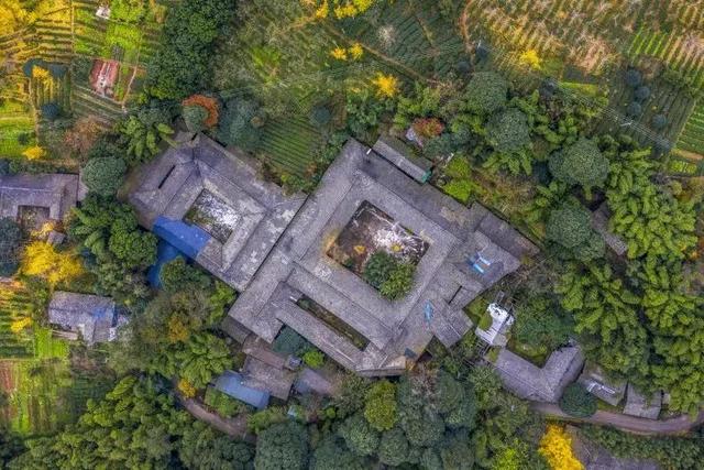 成都6个宁静村落，邂逅彩林、稻田、芦苇、草坪…景美好玩不扎堆