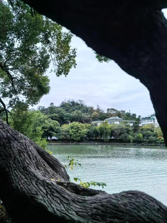 桂林：最是初冬晴午后！