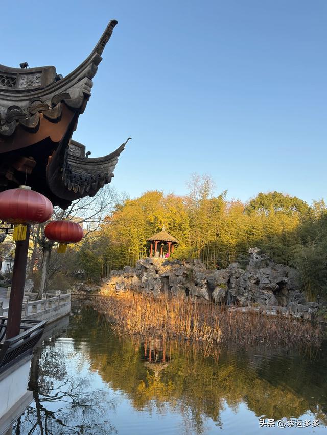 沪上园林古猗园已达颜值巅峰