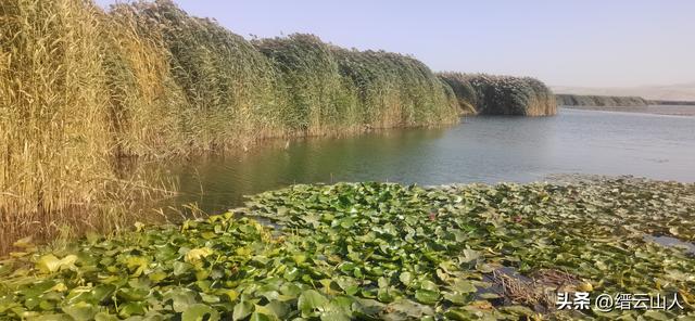 大美新疆声乐组曲•博斯腾湖畔之歌