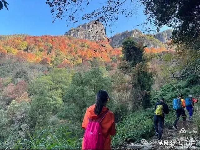 约吗?温州此处枫叶已渐红,这周末将进入赏红叶佳期!
